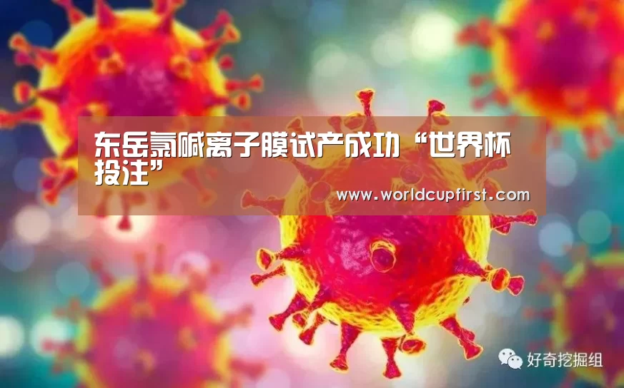 世界杯买球网站
