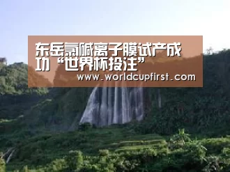 世界杯外围买球