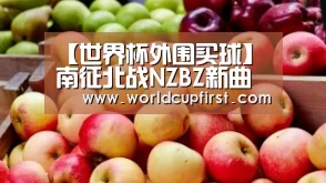 世界杯外围买球