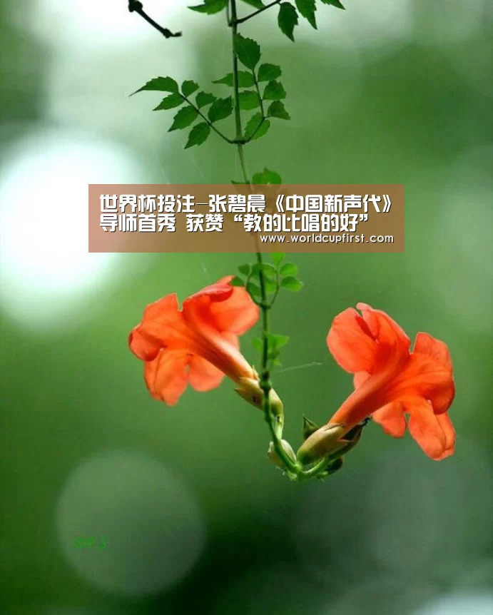 世界杯买球网站
