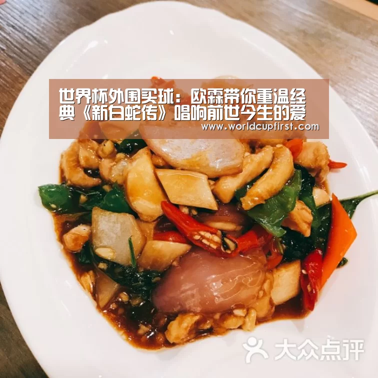 世界杯买球网站官网