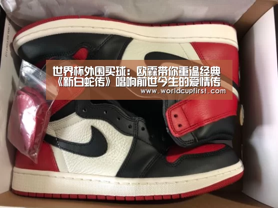 世界杯买球网站