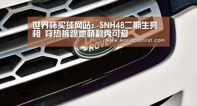 世界杯买球网站官网